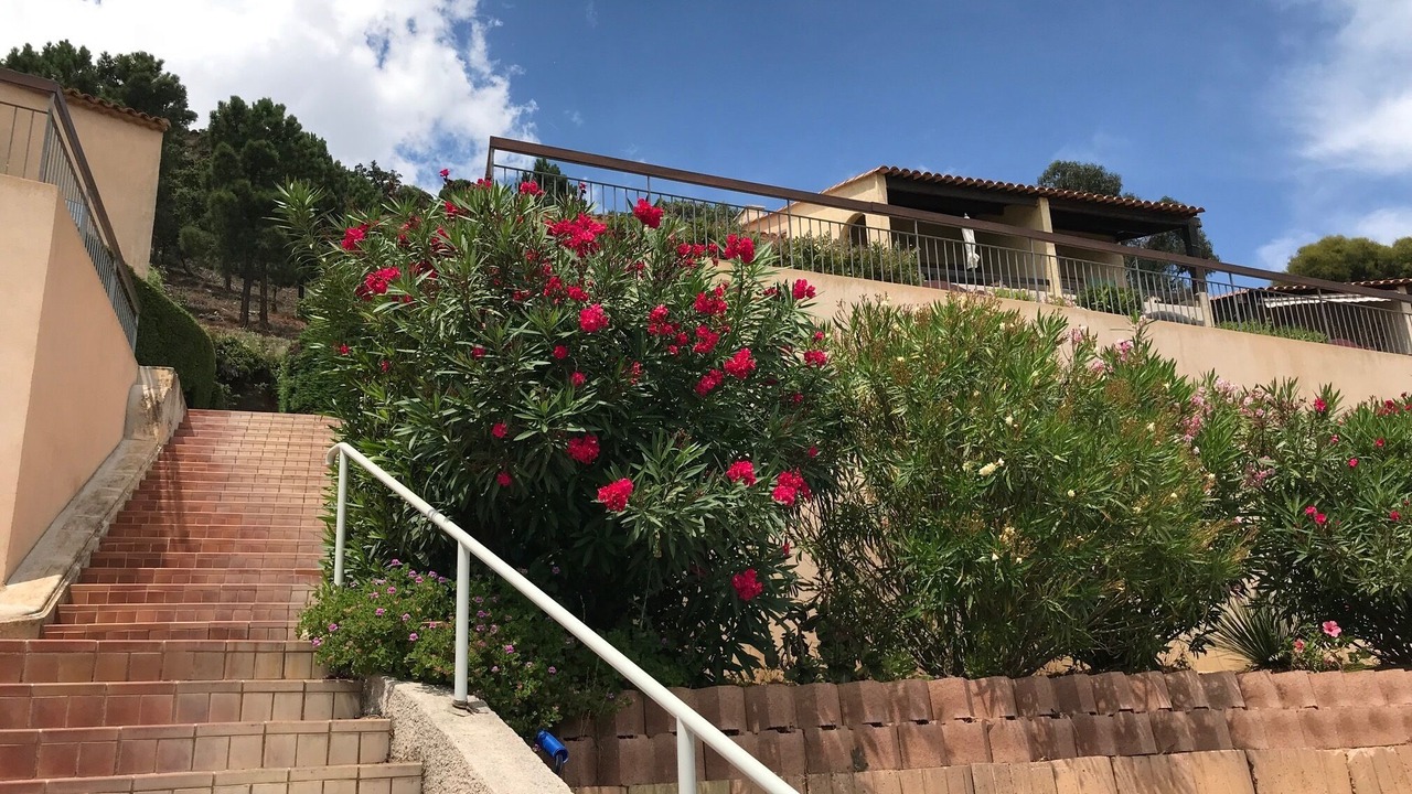 Photo of Outdoor in Le Rayol