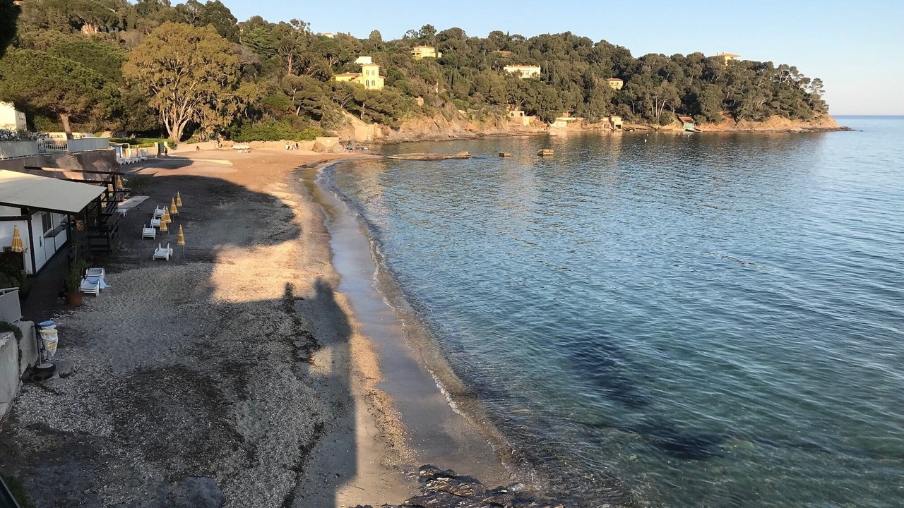 Photo of Others in Le Rayol