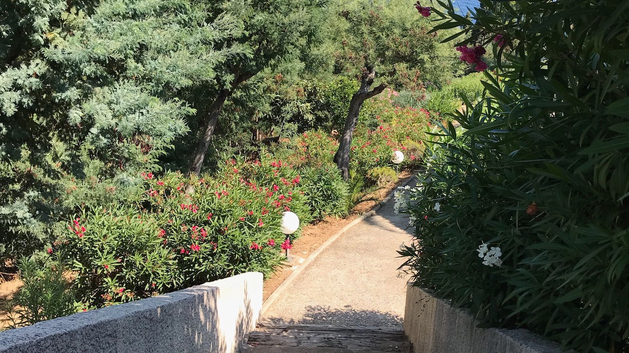Photo of Outdoor in Le Rayol