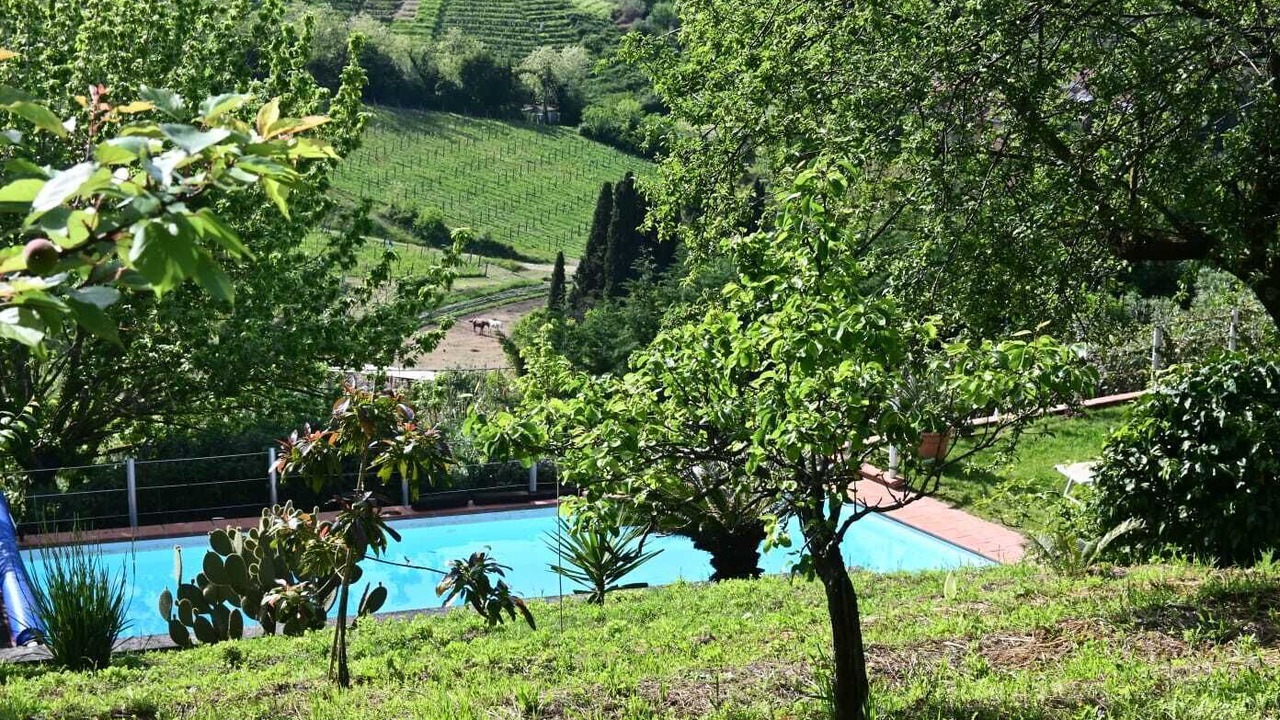 Photo of Outdoor in Carrara