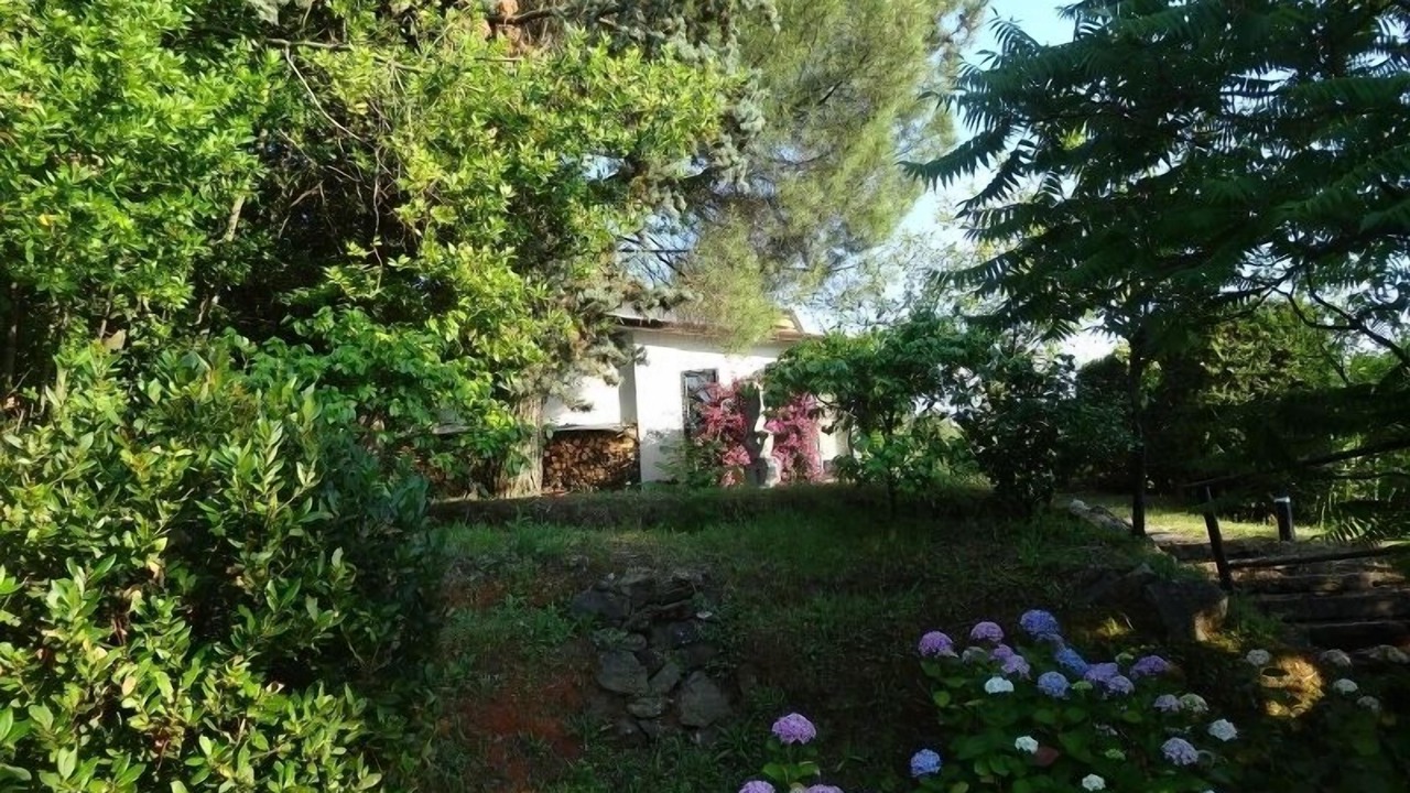 Photo of Outdoor in Carrara