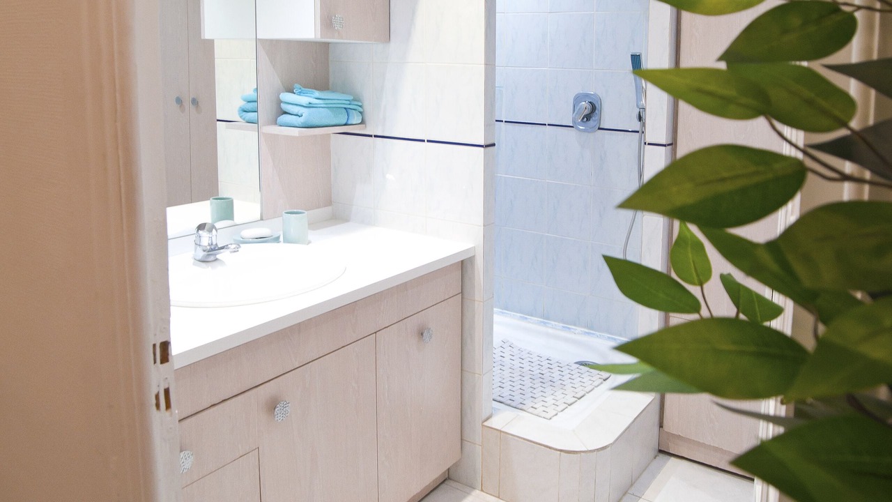 Photo of Bathroom in Vernier