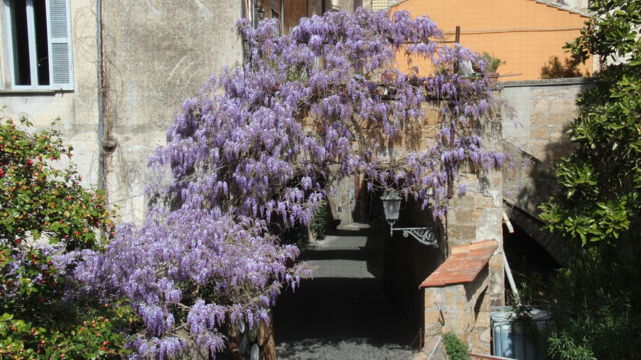 Photo of Outdoor in Orvieto