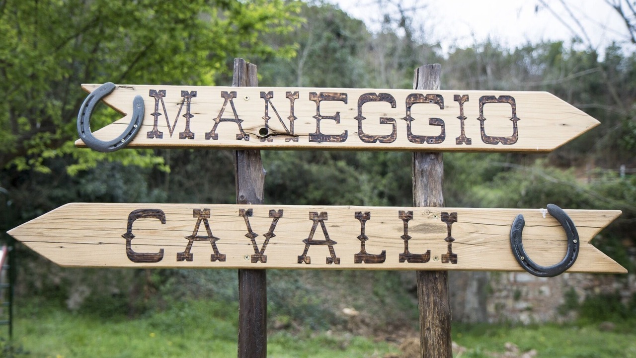 Photo of Outdoor in Massa Marittima