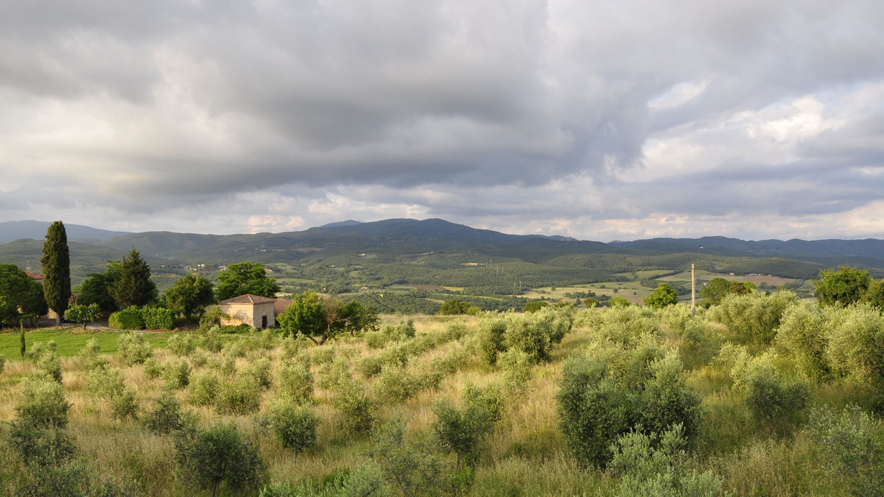 Photo of Outdoor in Massa Marittima