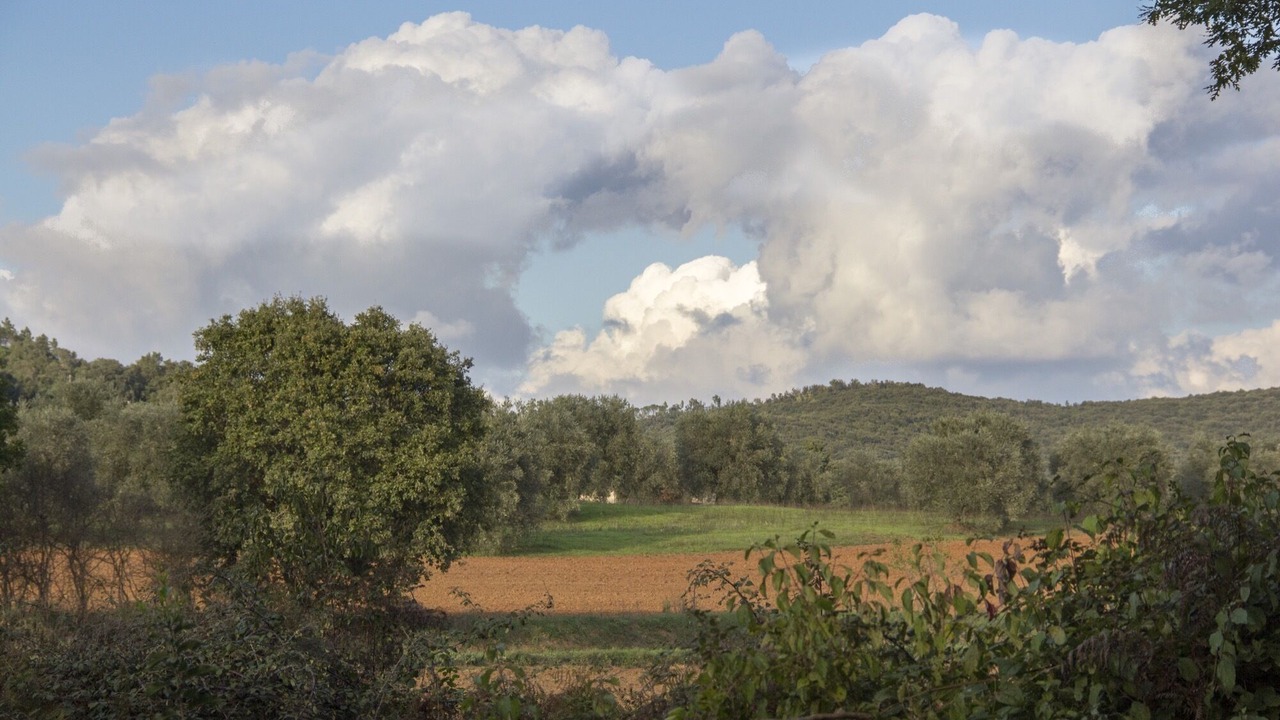 Photo of Outdoor in Massa Marittima