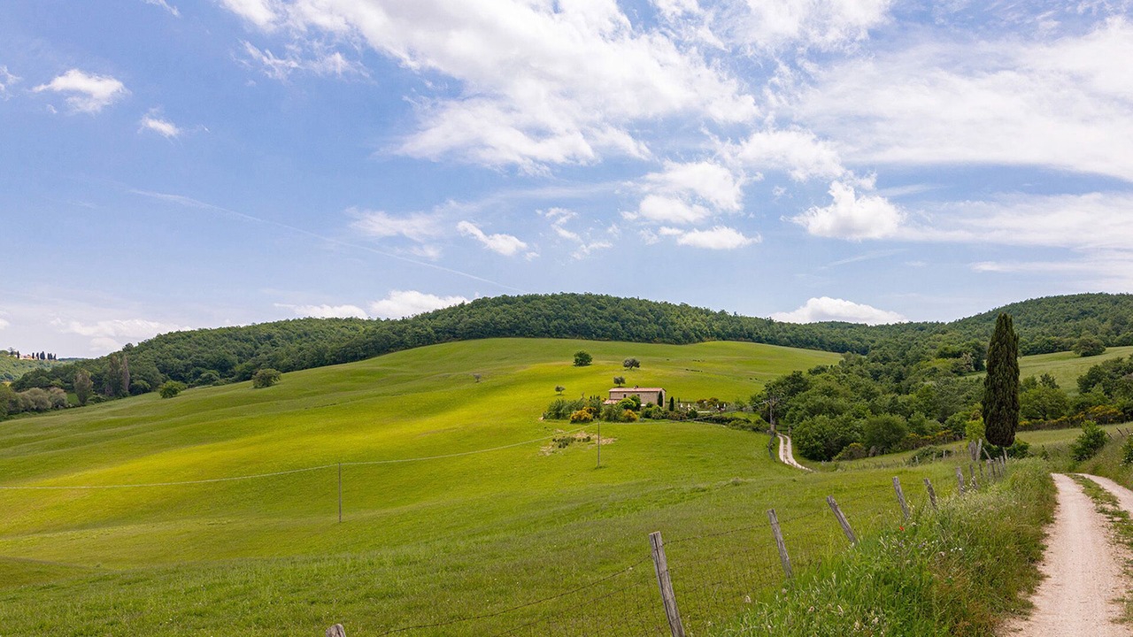 Photo of Others in Pienza