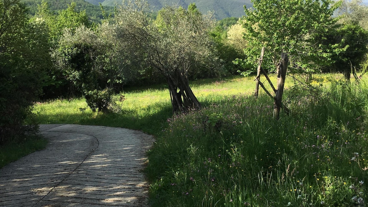 Photo of Others in Casola in Lunigiana