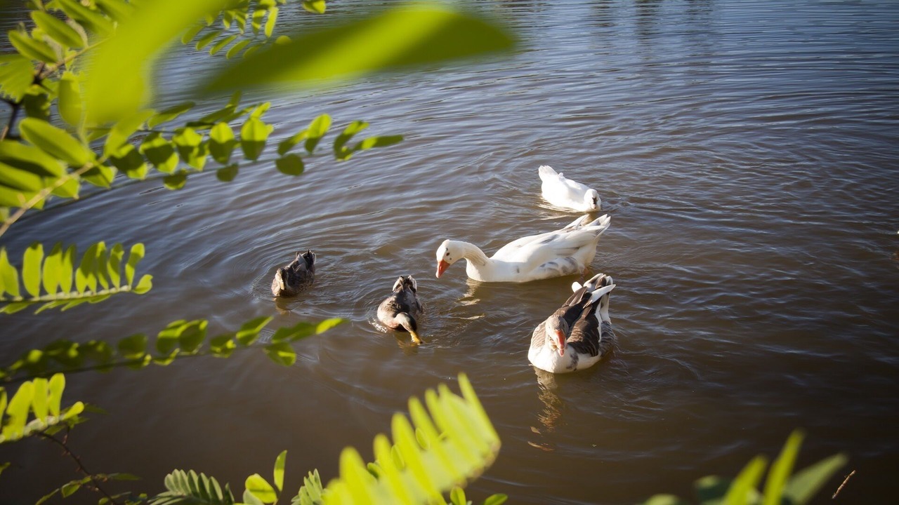 Photo of Others in Crespina