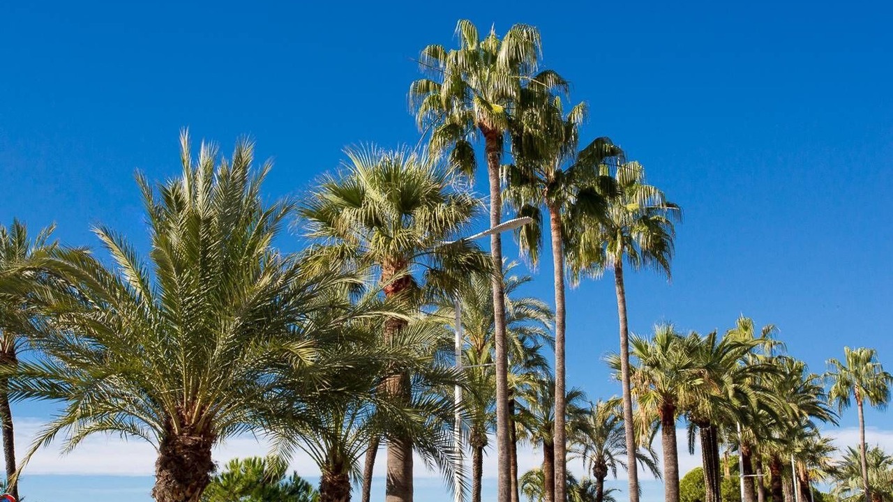 Photo of Outdoor in Pointe Croisette