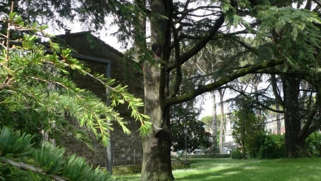 Photo of Outdoor in Castel del Piano