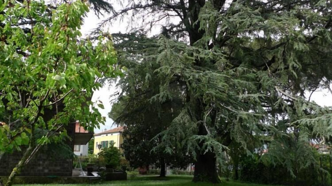 Photo of Outdoor in Castel del Piano
