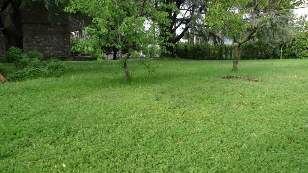 Photo of Outdoor in Castel del Piano