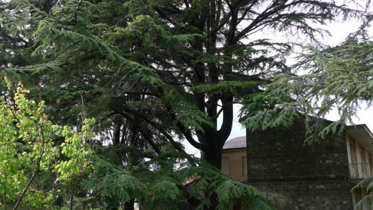 Photo of Outdoor in Castel del Piano