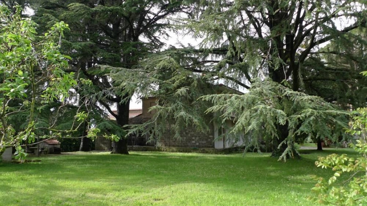 Photo of Outdoor in Castel del Piano