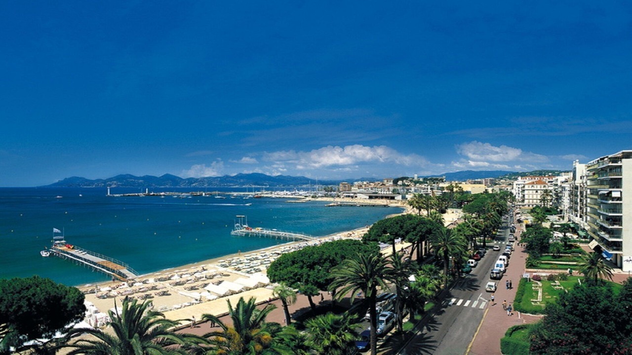 Photo of Others in Cannes City Centre