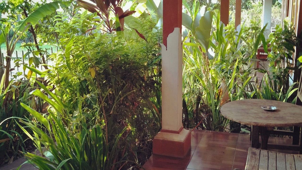 Photo of Outdoor in Tukad Mungga