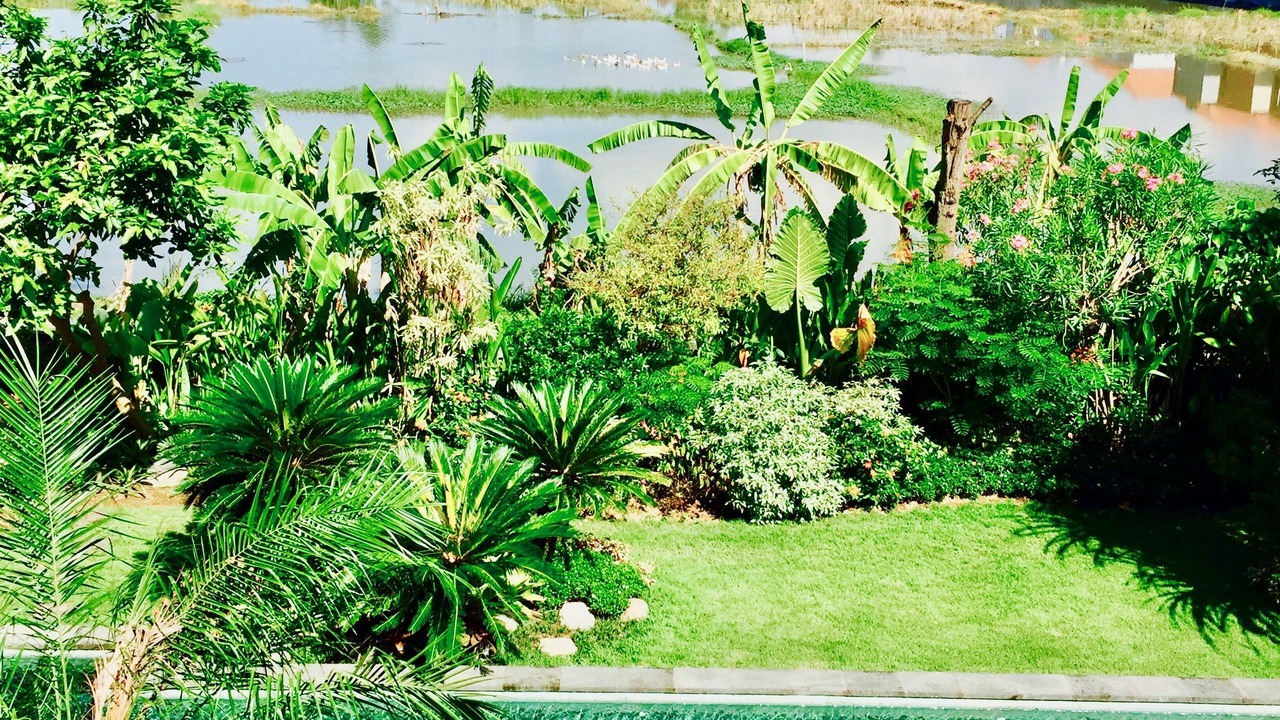 Photo of Outdoor in Sanur Kauh