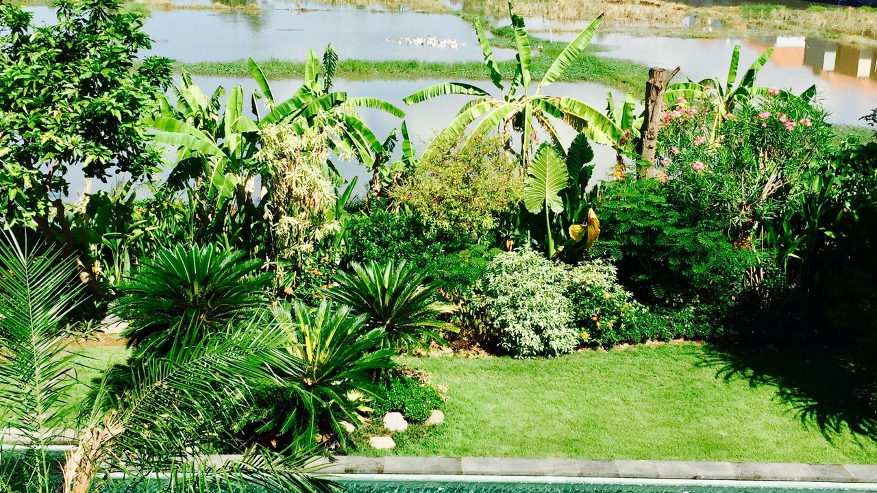 Photo of Outdoor in Sanur Kauh