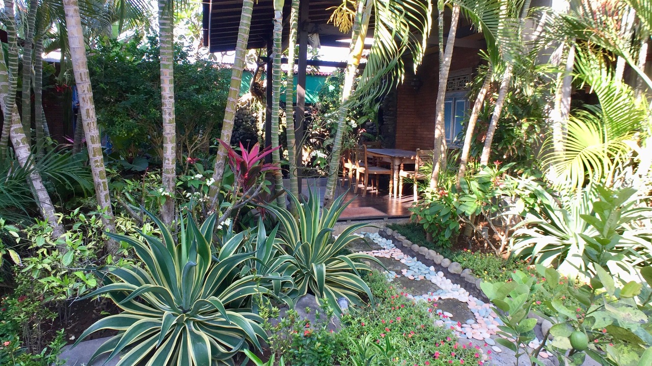 Photo of Outdoor in Sanur Kauh
