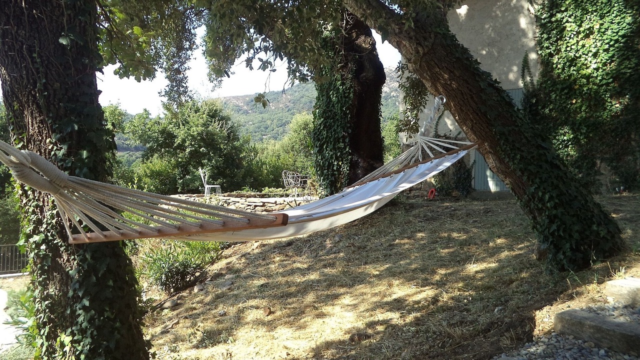 Photo of Others in La Garde-Freinet
