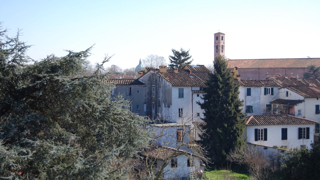 Photo of Patio Balcony in Lucca Historical Center