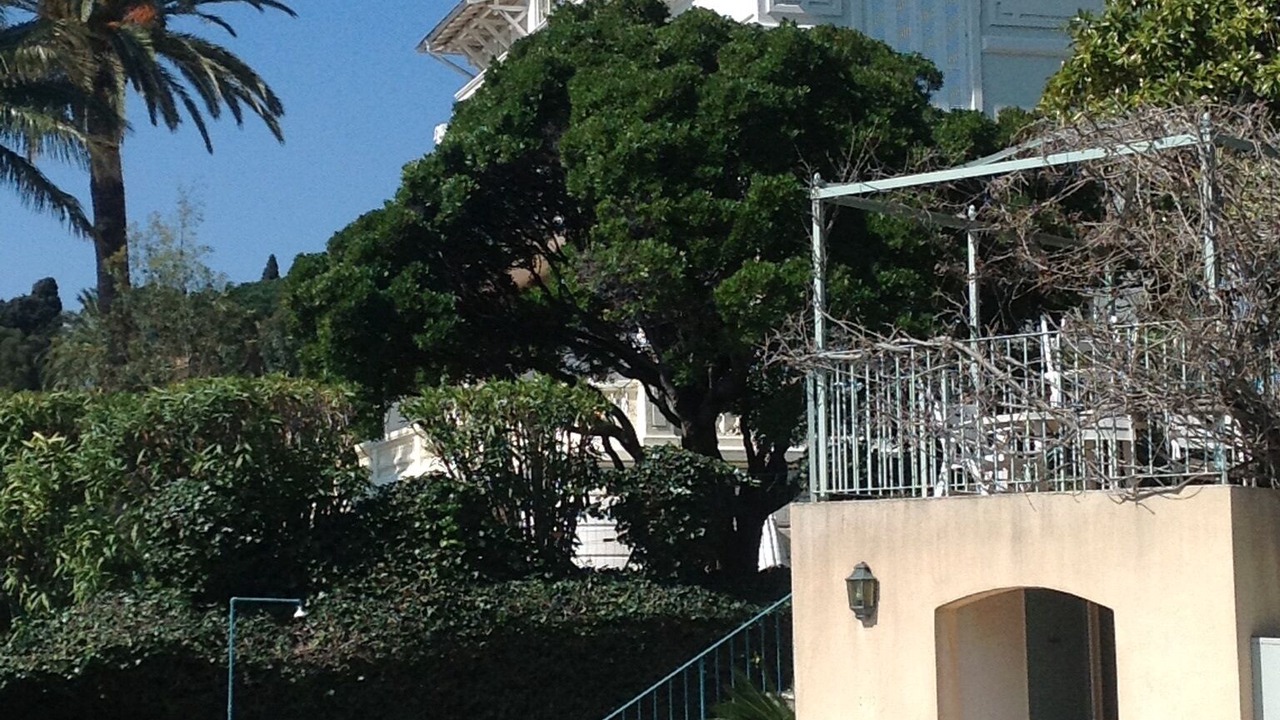 Photo of Outdoor in Sainte-Maxime