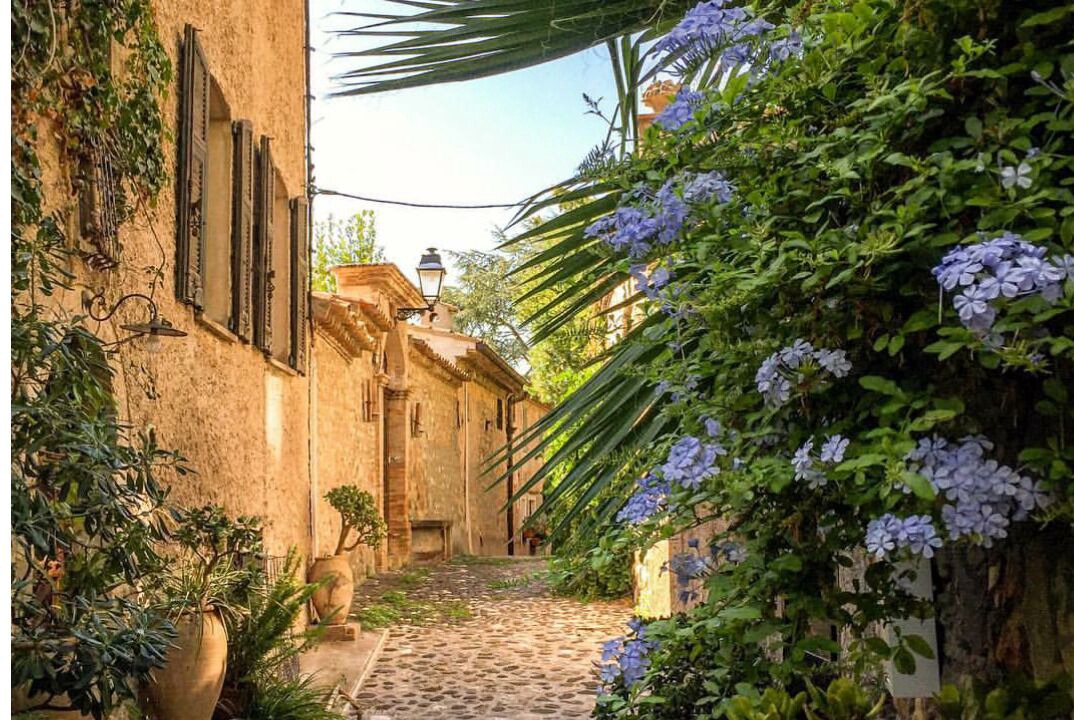 Photo of Outdoor in Biot