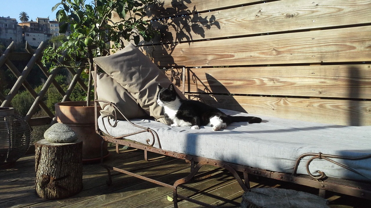 Photo of Outdoor in Biot