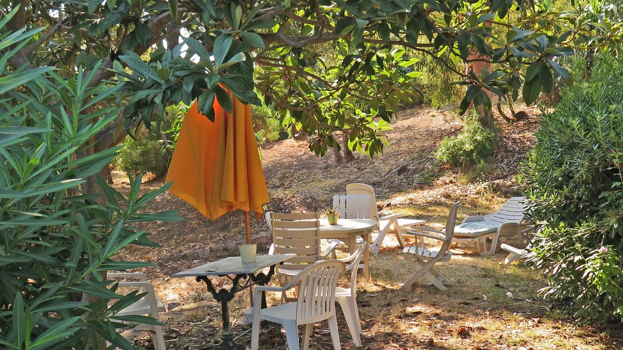 Photo of Outdoor in California - Pezou