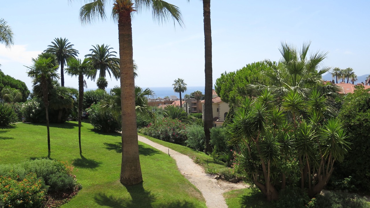 Photo of Others in California - Pezou