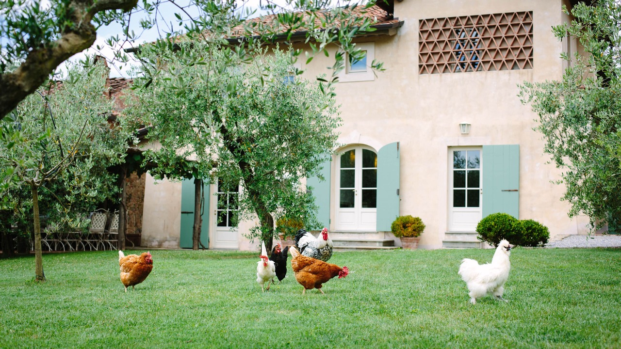 Photo of Outdoor in Montemagno
