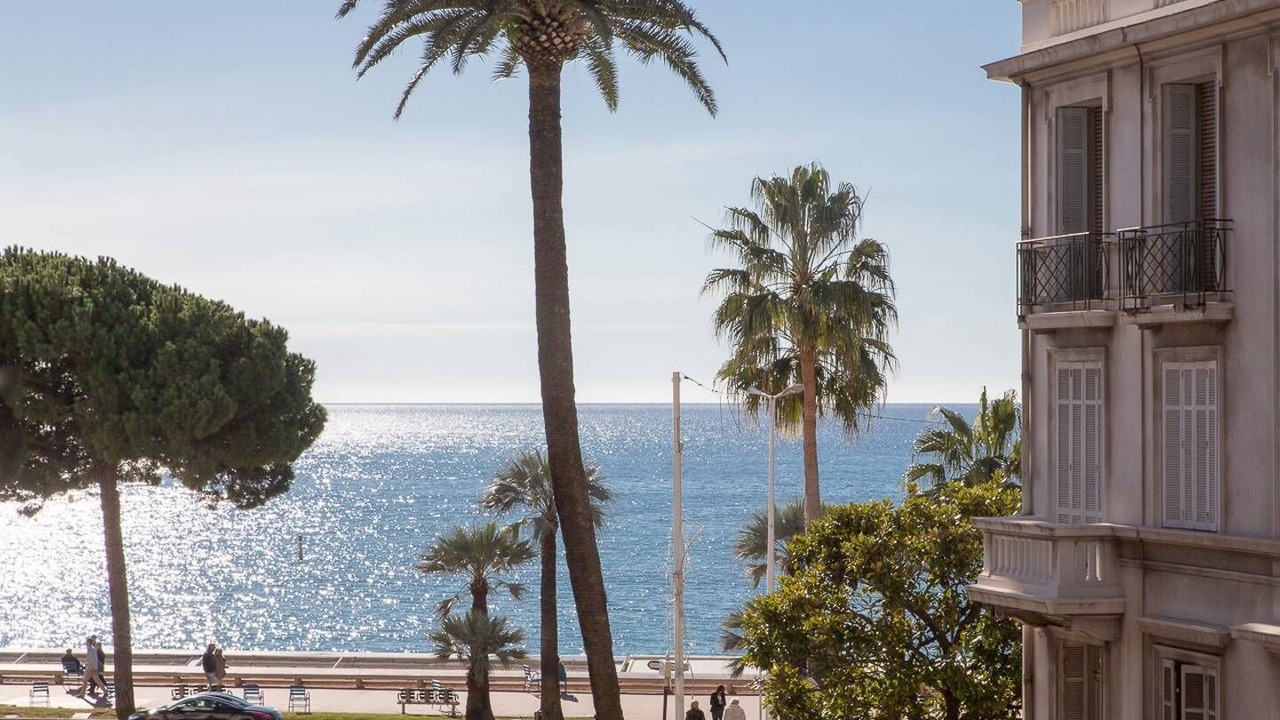 Photo of Others in Cannes City Centre