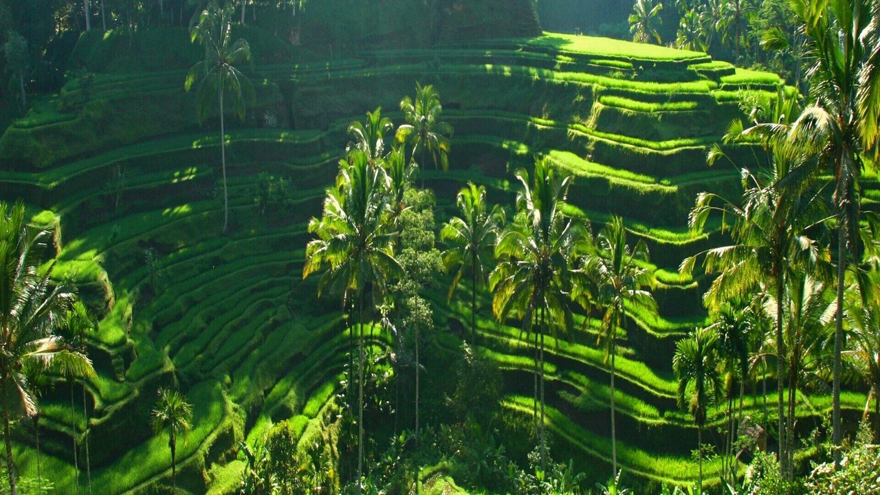 Photo of Others in Sebatu