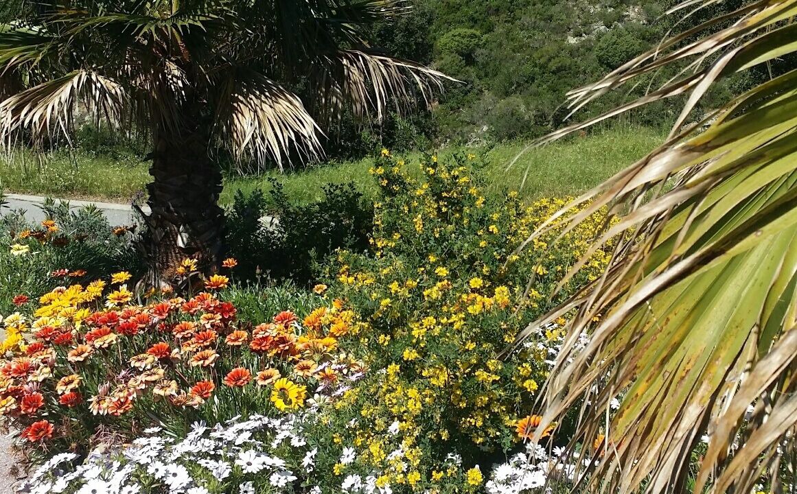 Photo of Outdoor in Saint-Aygulf