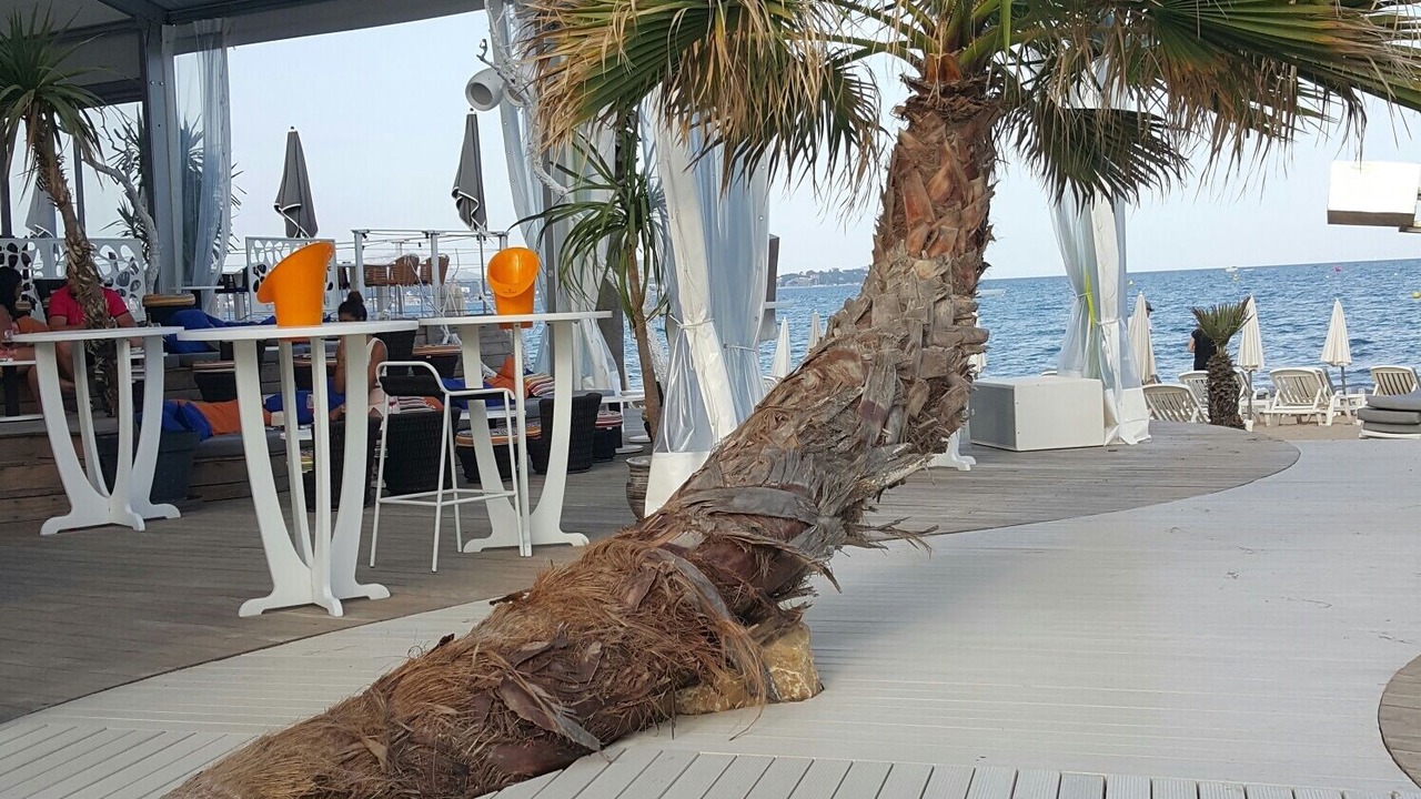 Photo of Outdoor in Saint-Aygulf