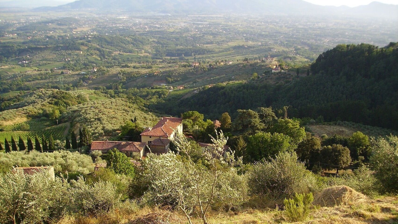 Photo of Outdoor in Petrognano