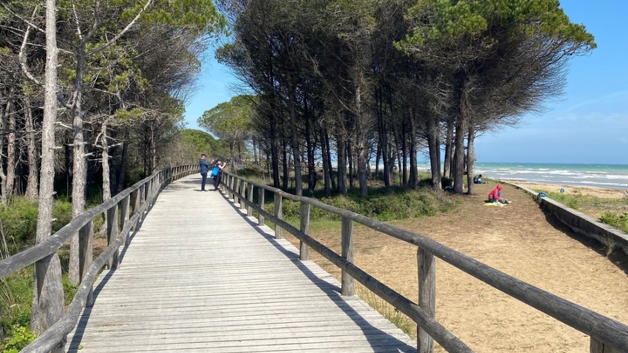 Photo of Others in Bibione Pineda