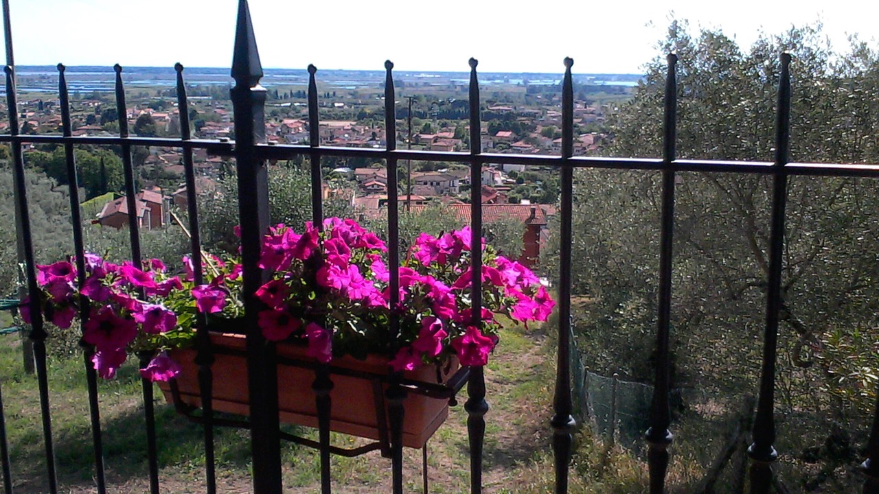 Photo of Outdoor in Massarosa