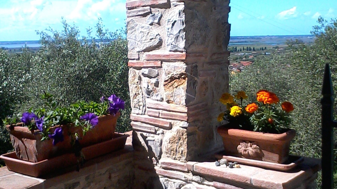 Photo of Outdoor in Massarosa