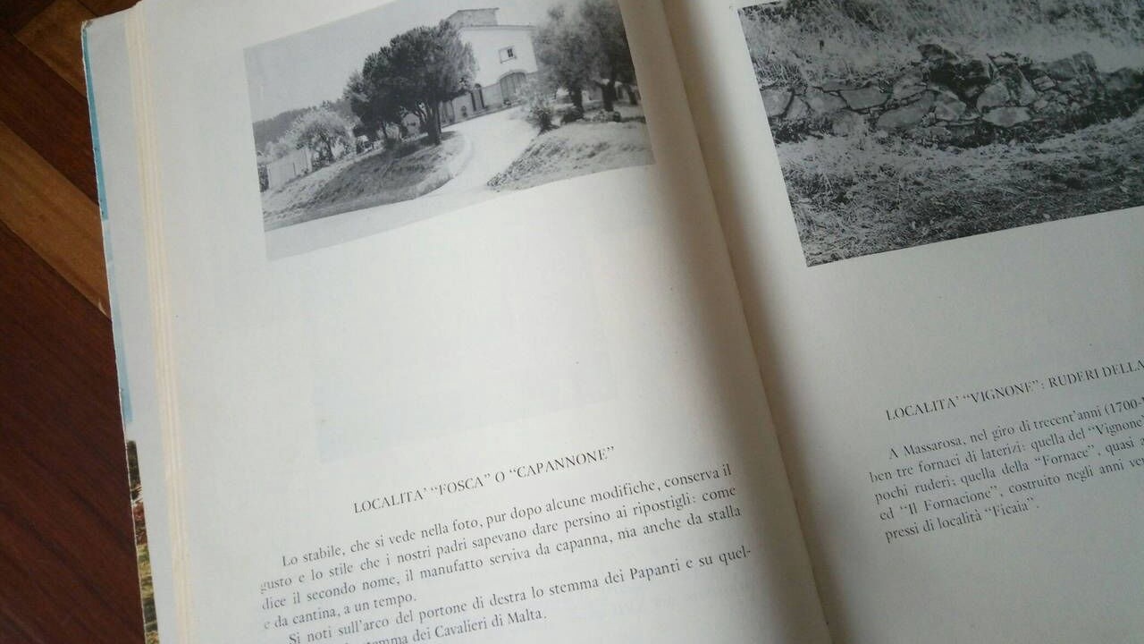 Photo of Others in Massarosa