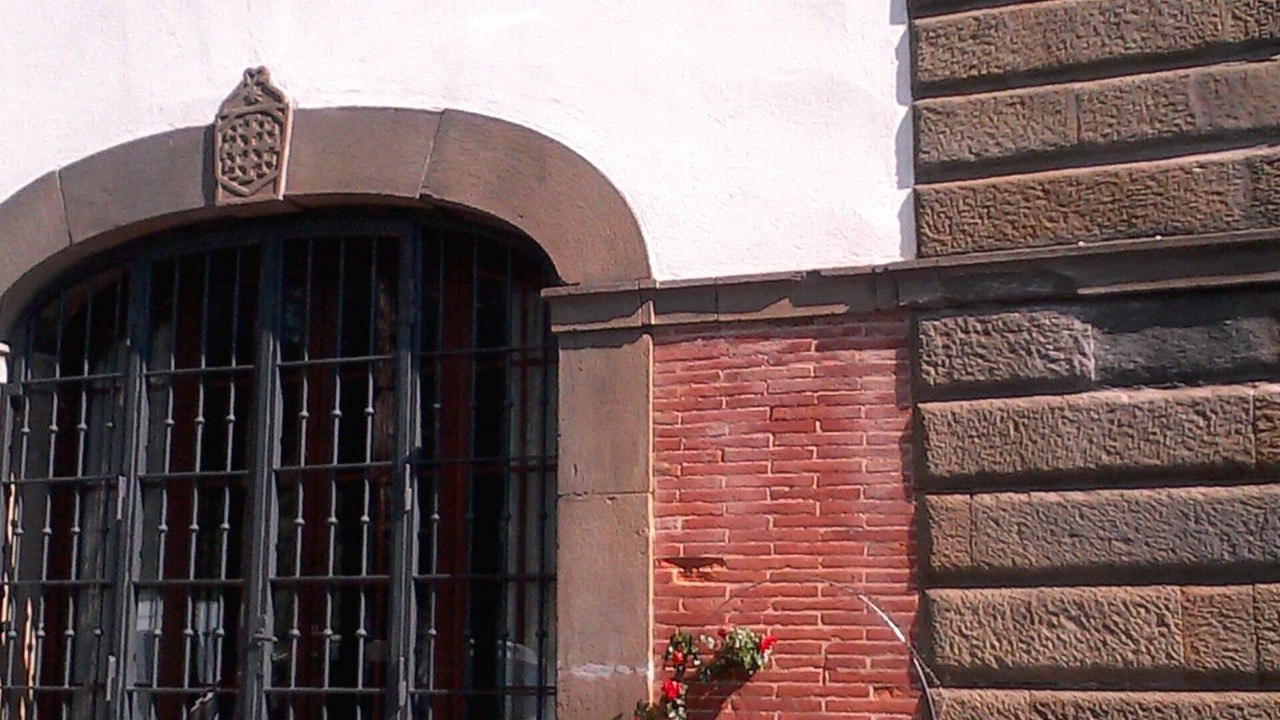 Photo of Outdoor in Massarosa