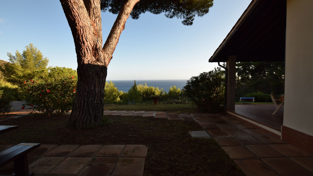 Photo of Patio Balcony in Campo nell'Elba