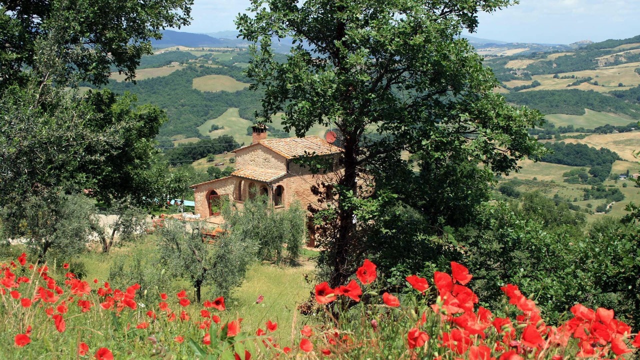 Photo of Outdoor in Radicondoli