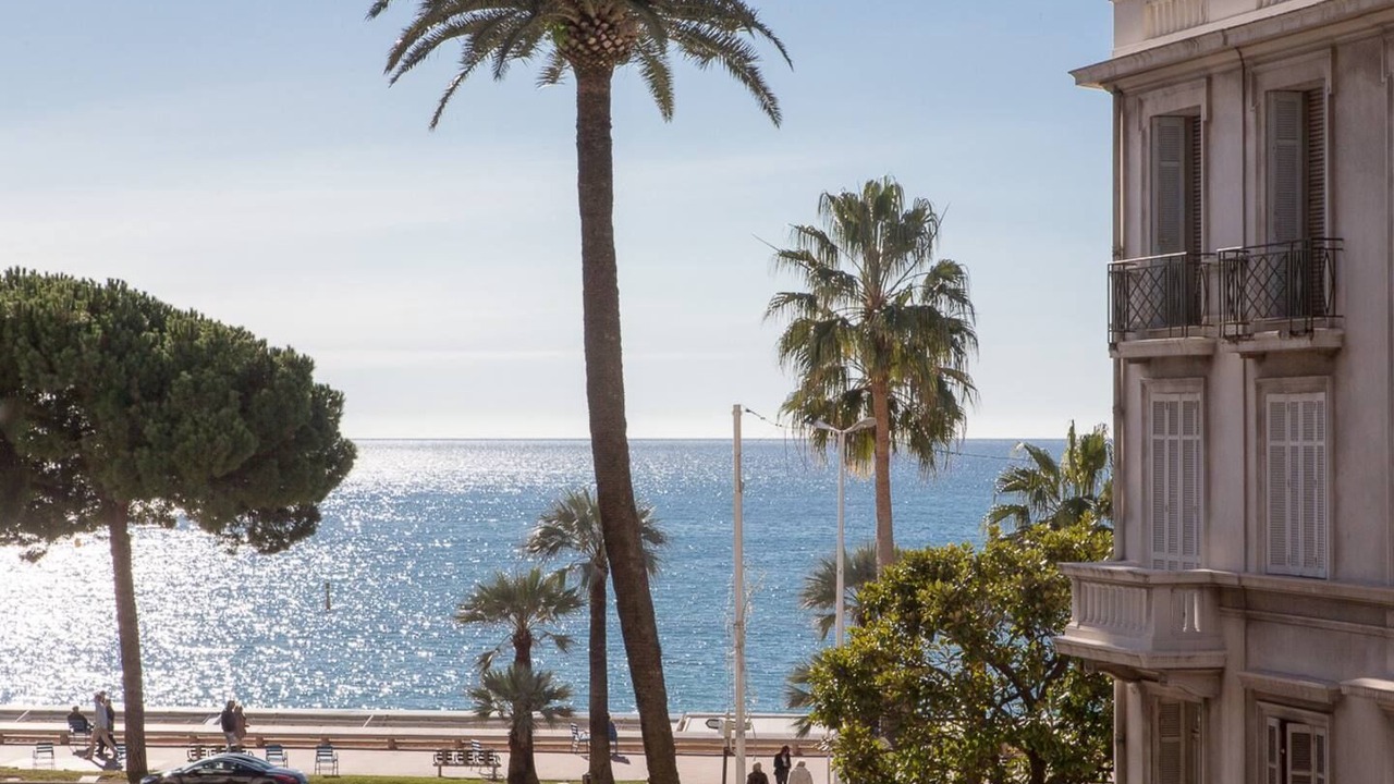 Photo of Others in Cannes City Centre