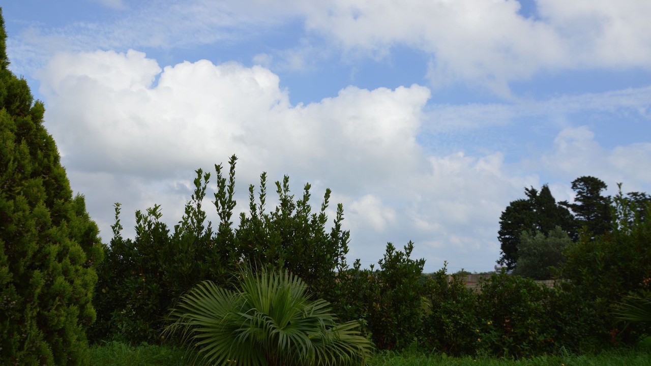 Photo of Outdoor in Noto Marina