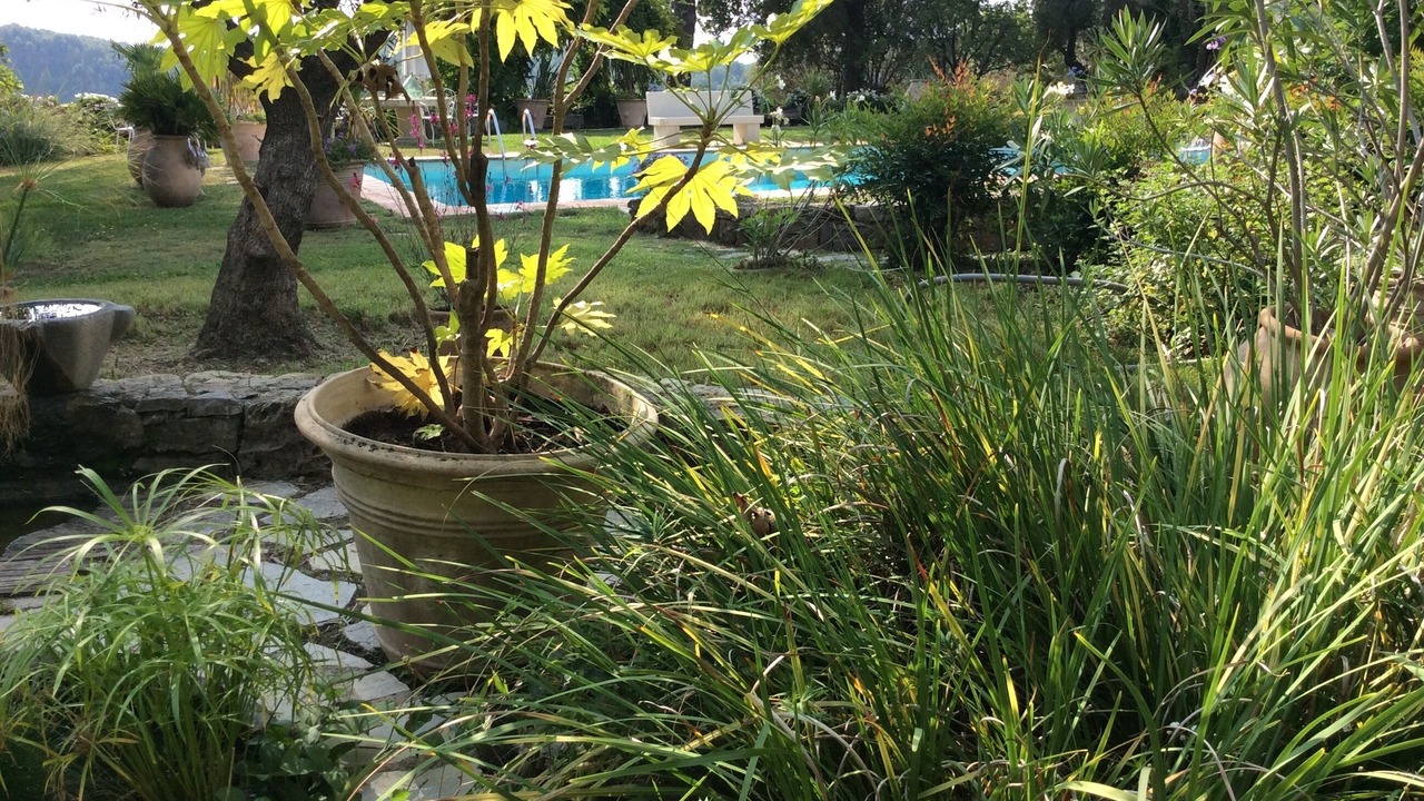 Photo of Outdoor in Tourrettes-sur-Loup