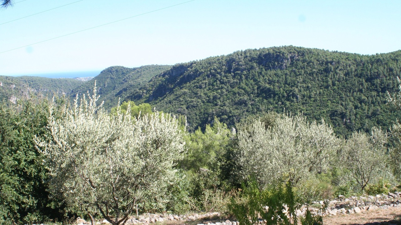 Photo of Outdoor in Tourrettes-sur-Loup