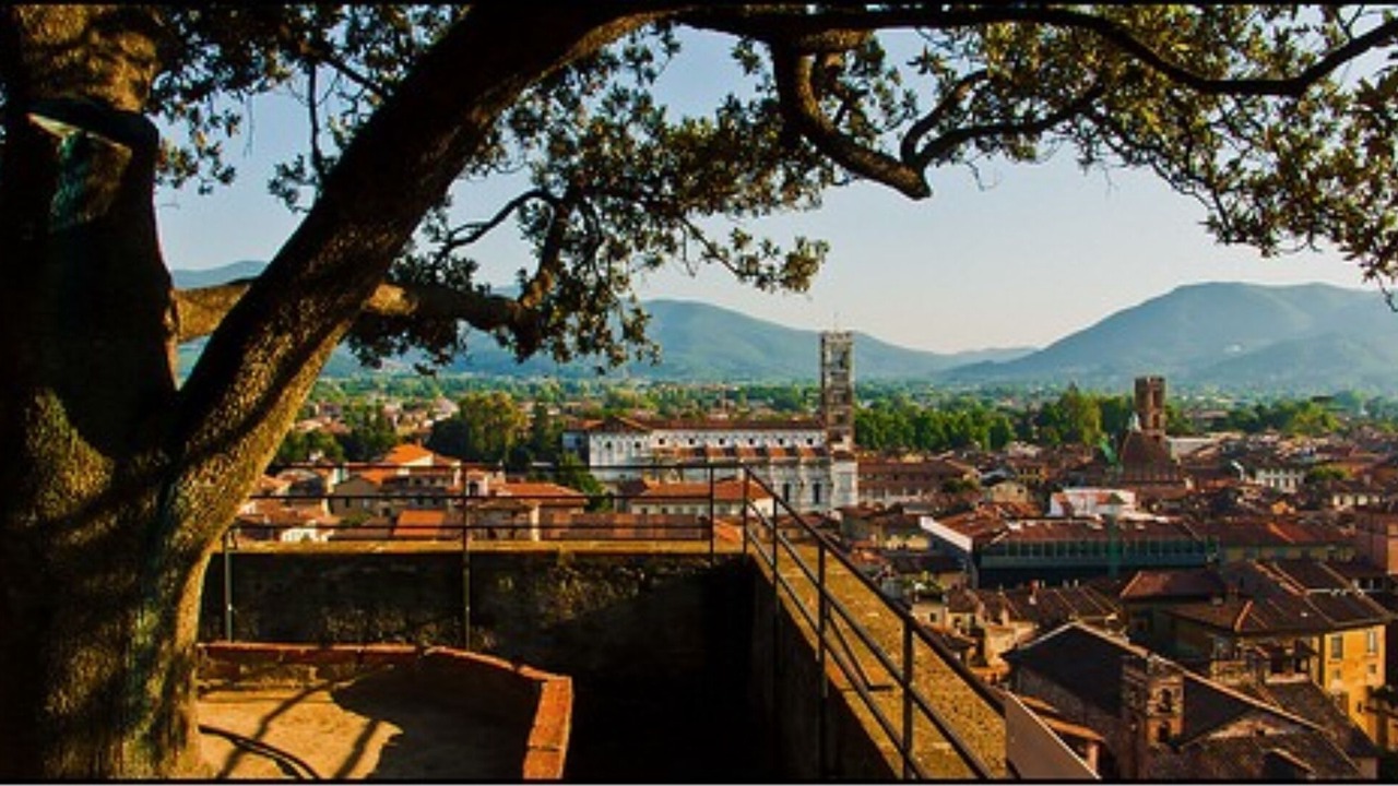 Photo of Others in Lucca Historical Center