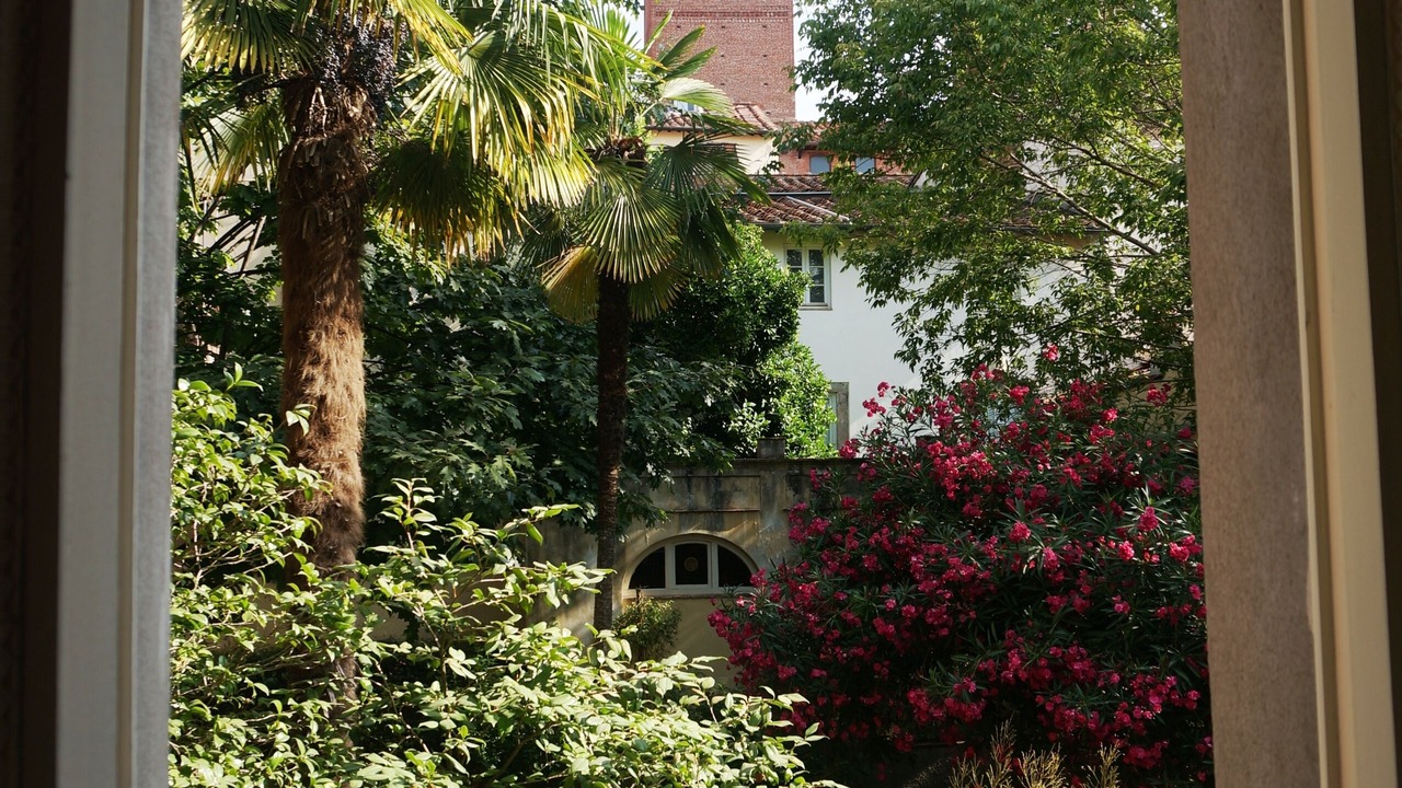 Photo of Others in Lucca Historical Center